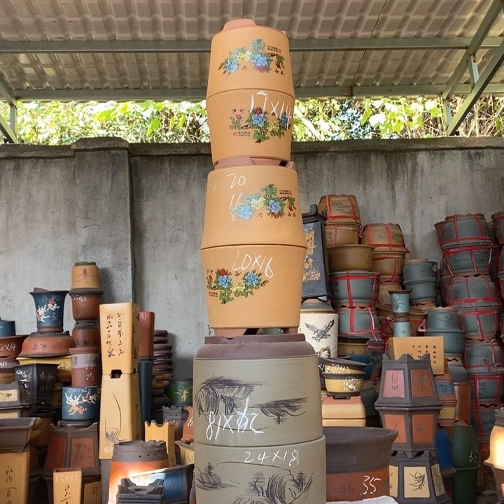 紫砂花盆盆栽花卉苗木种植