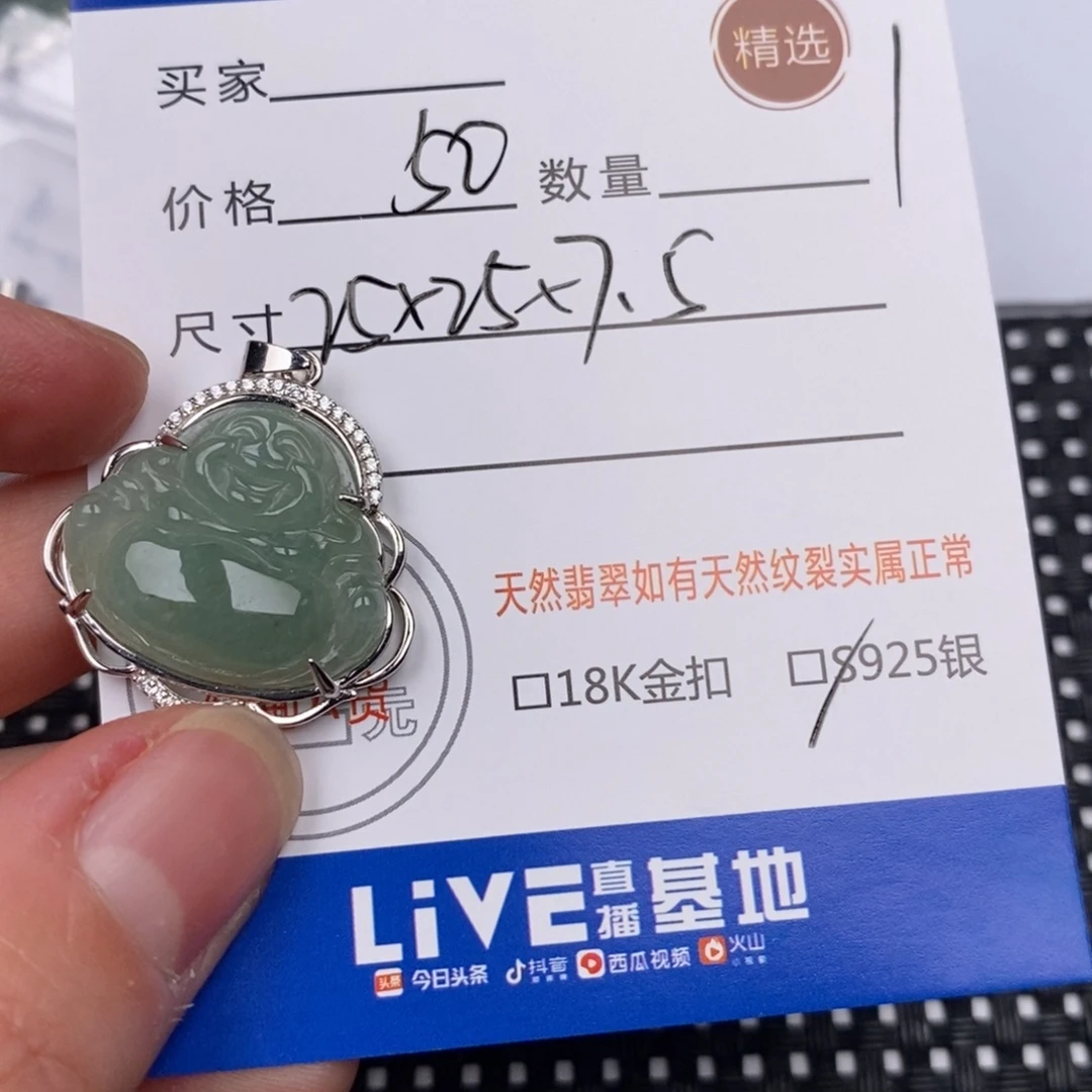 翡翠银S925镶嵌颈饰