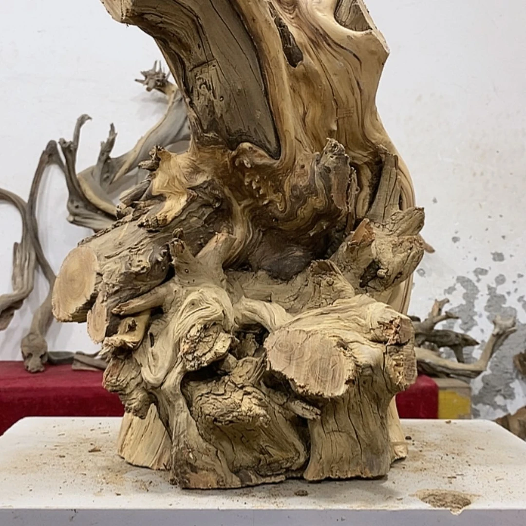 【闪购商品】柏木用****0我们都是好孩子