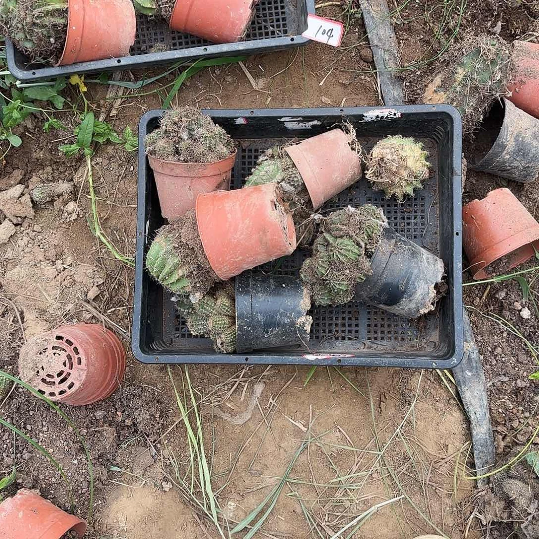 105 瑕疵无售后瑕疵