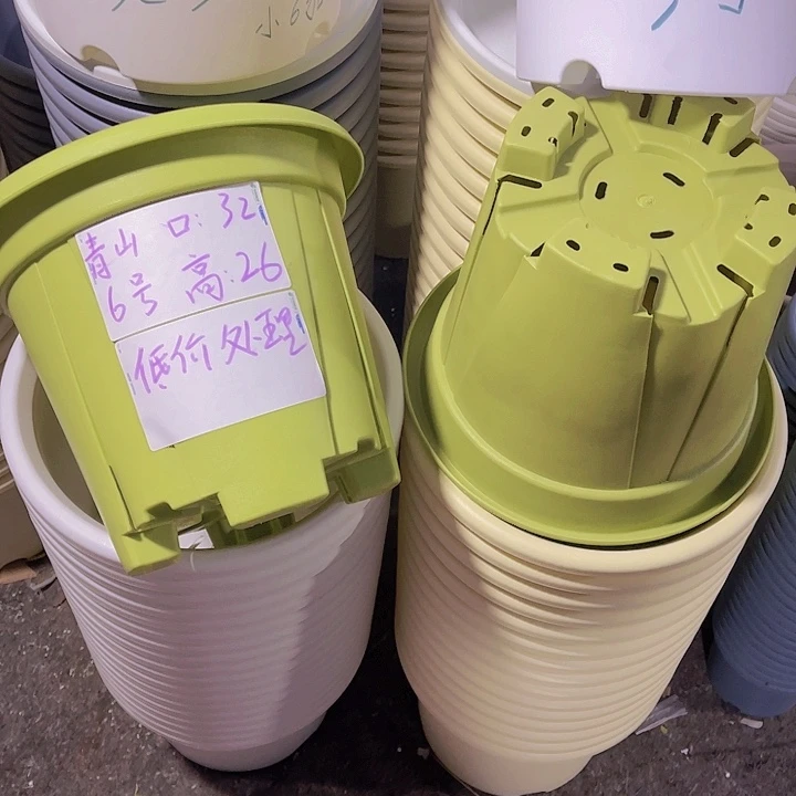 树脂青山6号果绿色4个