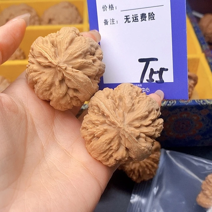 鱼***鱼文玩核桃把件文玩核桃霸王龙55