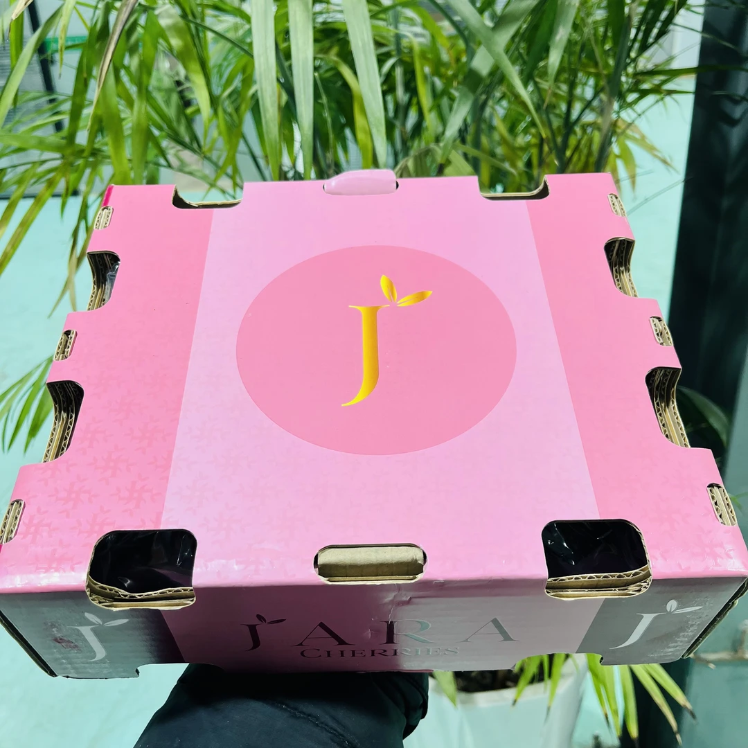 【粉箱】4JD桑提娜有机械伤海运车厘子净重五斤只发山西内附果径卡