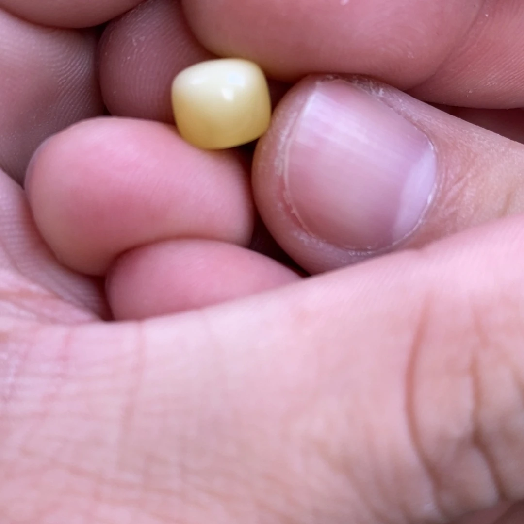 蜜蜡裸石未镶嵌菜*