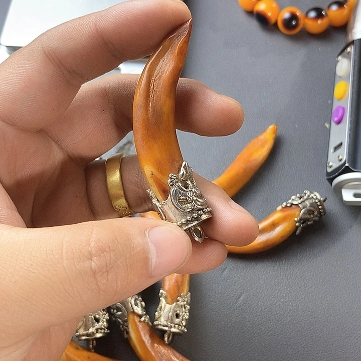 大果紫檀（缅甸花梨）389