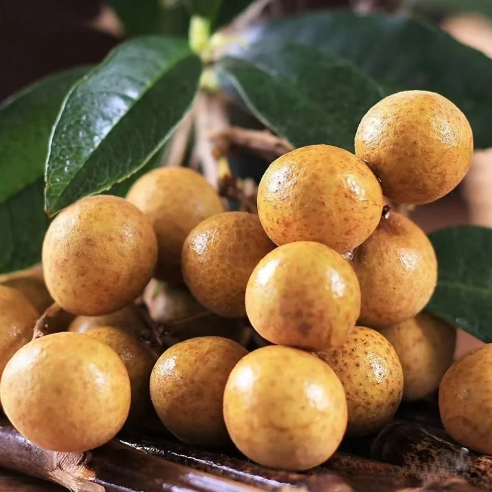 【特大】泰国龙眼 金标特大果5斤装核小肉多爆甜爆汁现摘现发