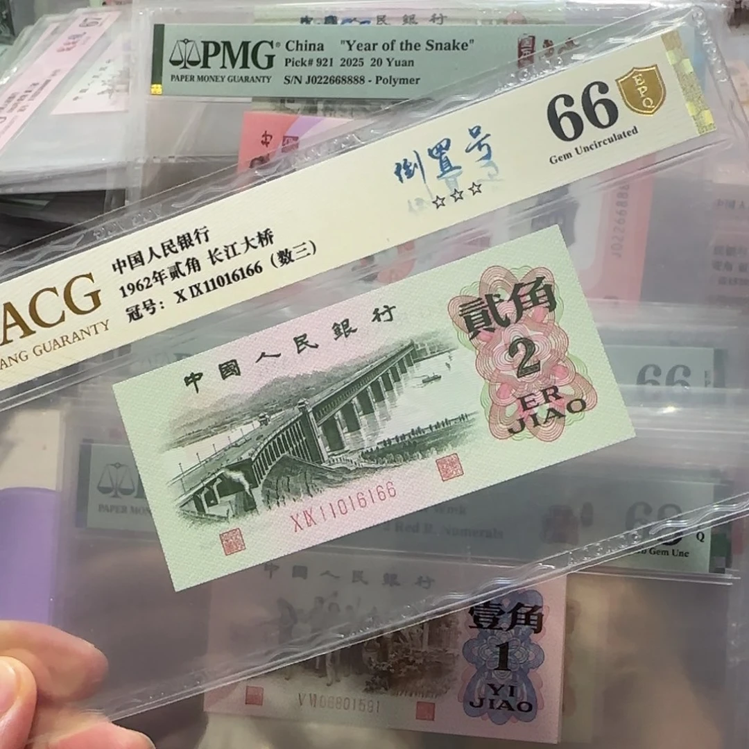 纸11016166。。。。。倒置王金盾