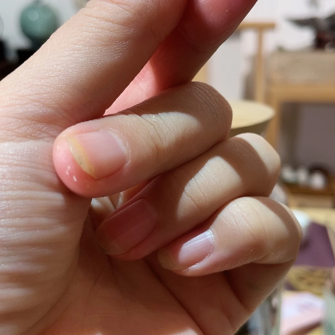 茶壶紫砂与**鹿12泡乌龙茶