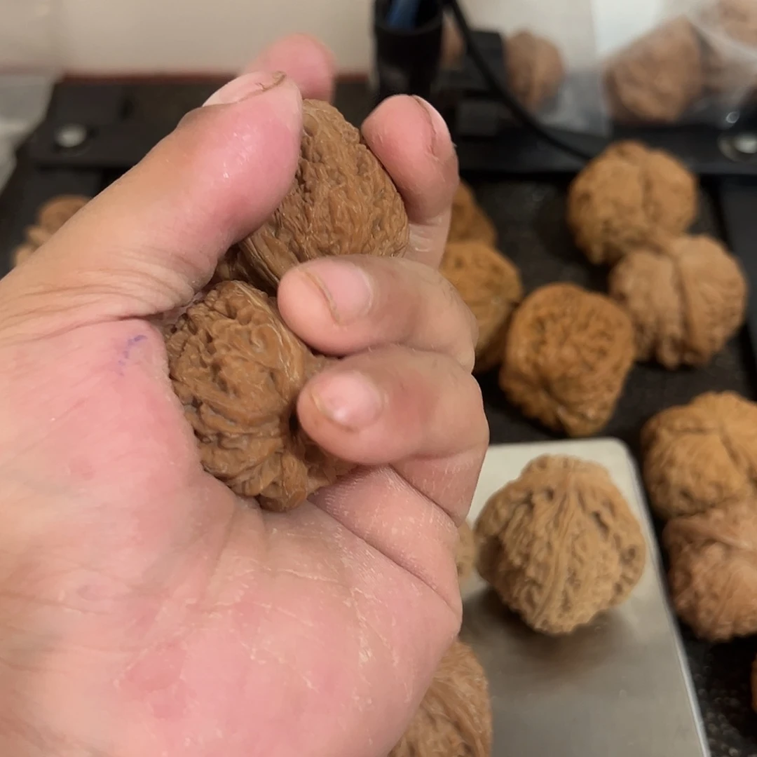 择***衍文玩核桃老树蒜头