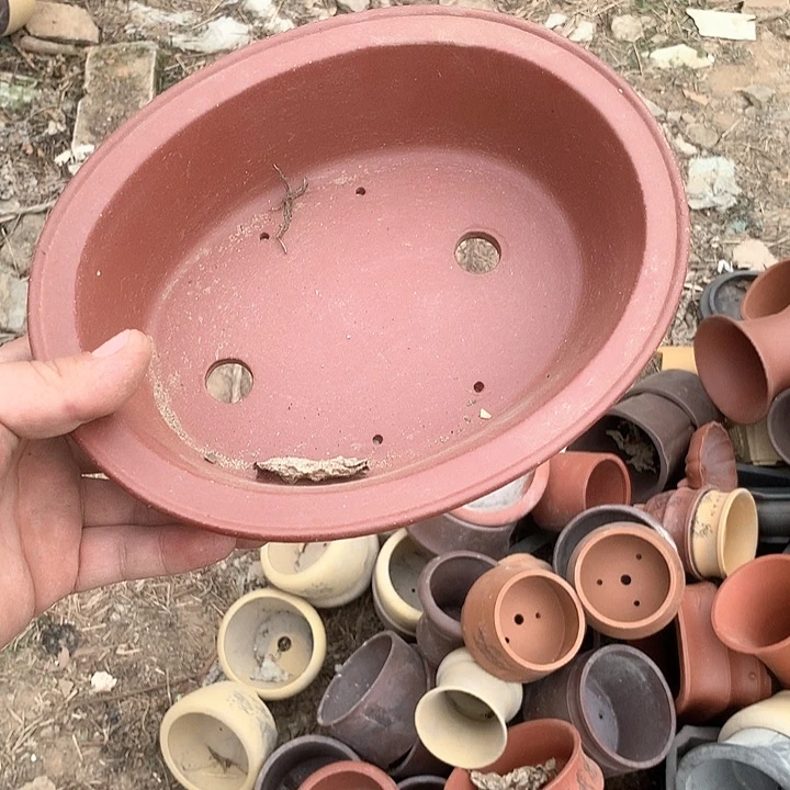 紫砂没有那么重要的人在我们心中