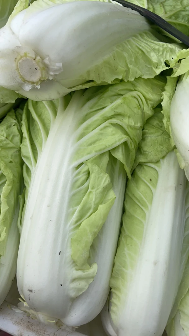 白菜 乡村赶集新鲜采摘生鲜