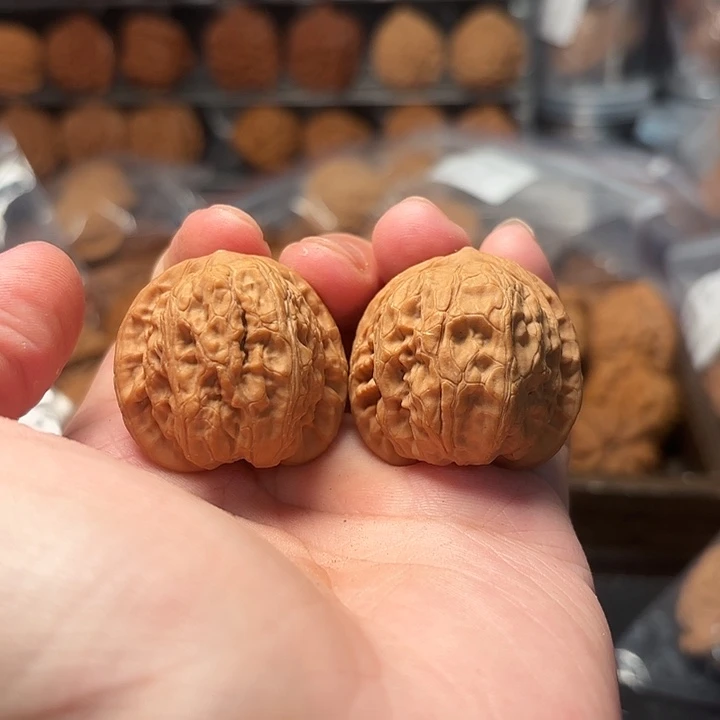 1文玩核桃蜡皮小狮子35-520