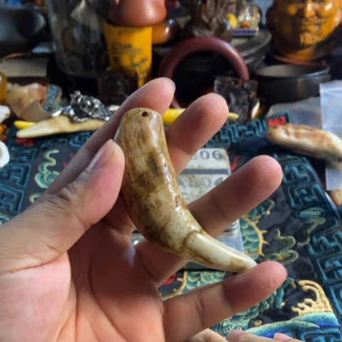 寻呼台的人也太少见