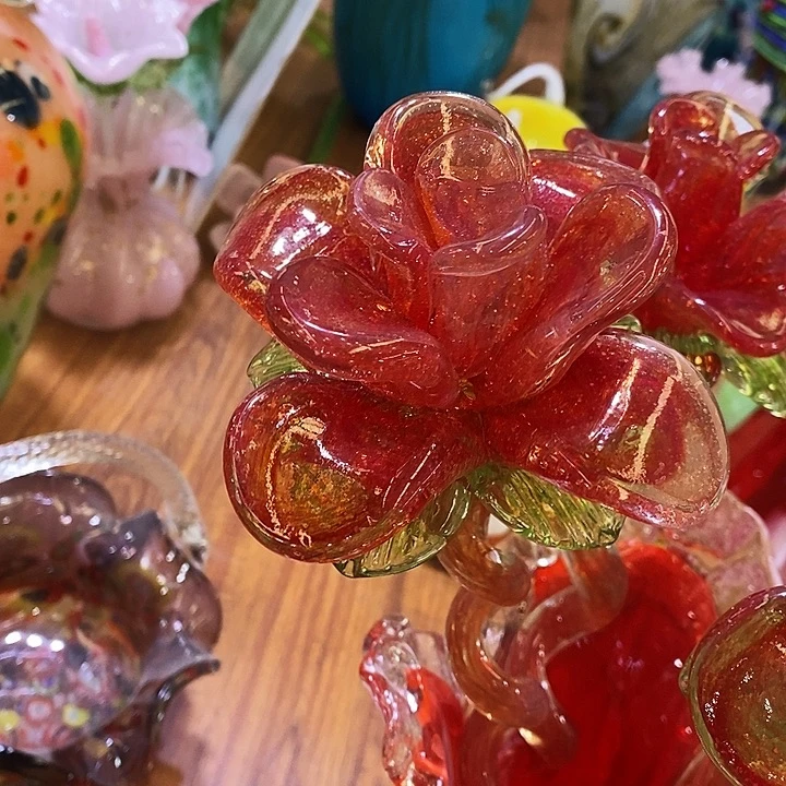 夜光花高45厘米宽12