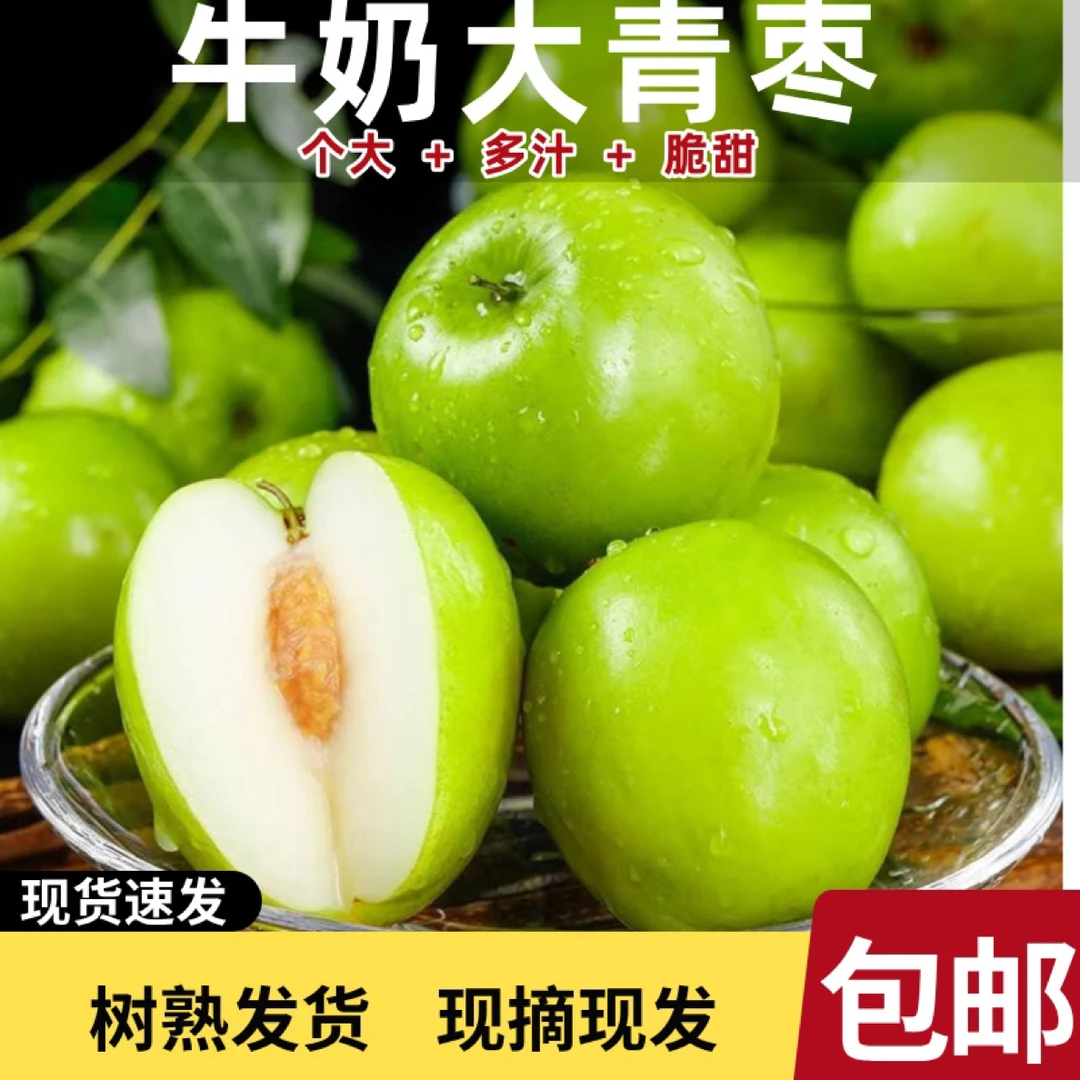 云南牛奶大青枣当季蜜枣现摘树熟发货脆甜爽口果园直发孕妈妈水果