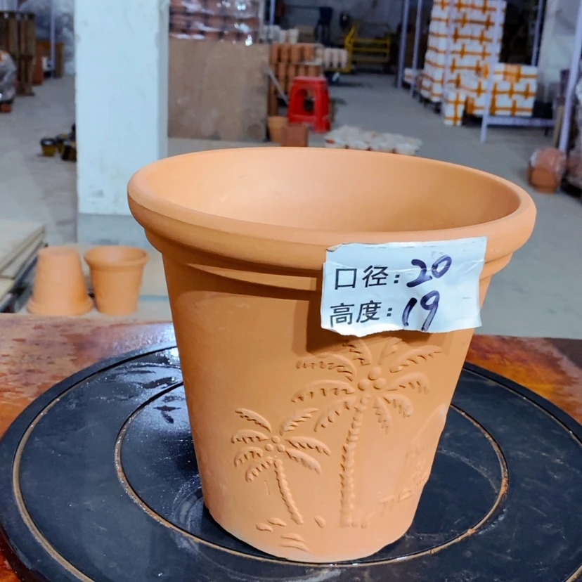 【闪购商品】椰树20×19-1