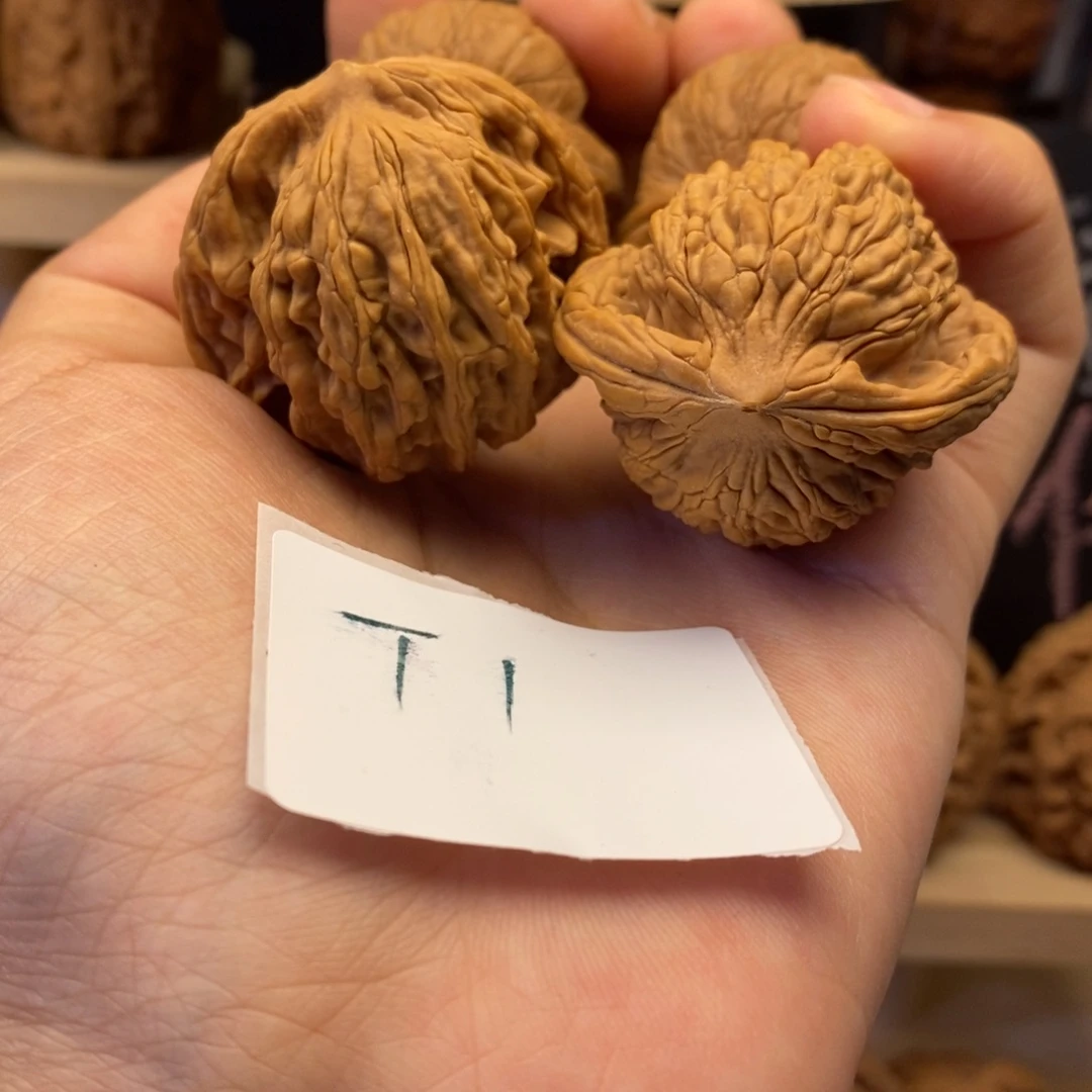T1元宝39+白茬送一麦虎练手默认瑕疵