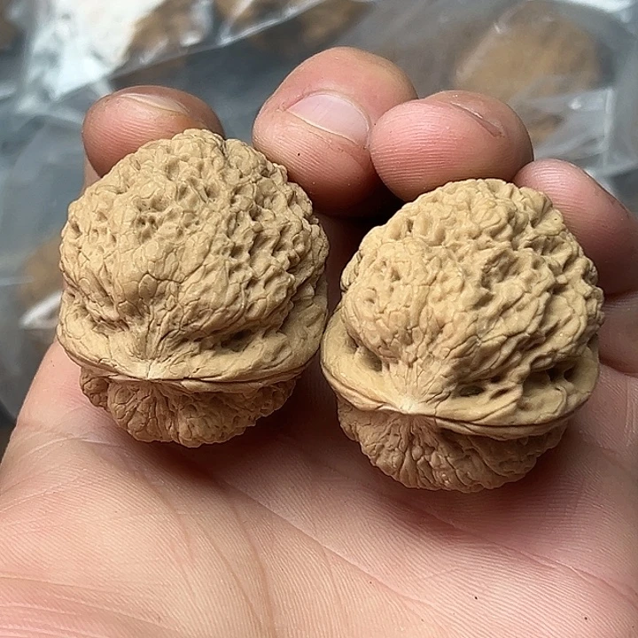 核桃4号花中花39尺