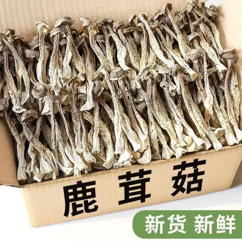 【净重】完整不碎鹿茸菇500g新鲜干货鹿茸菌煲汤炒菜食用菌开袋50克