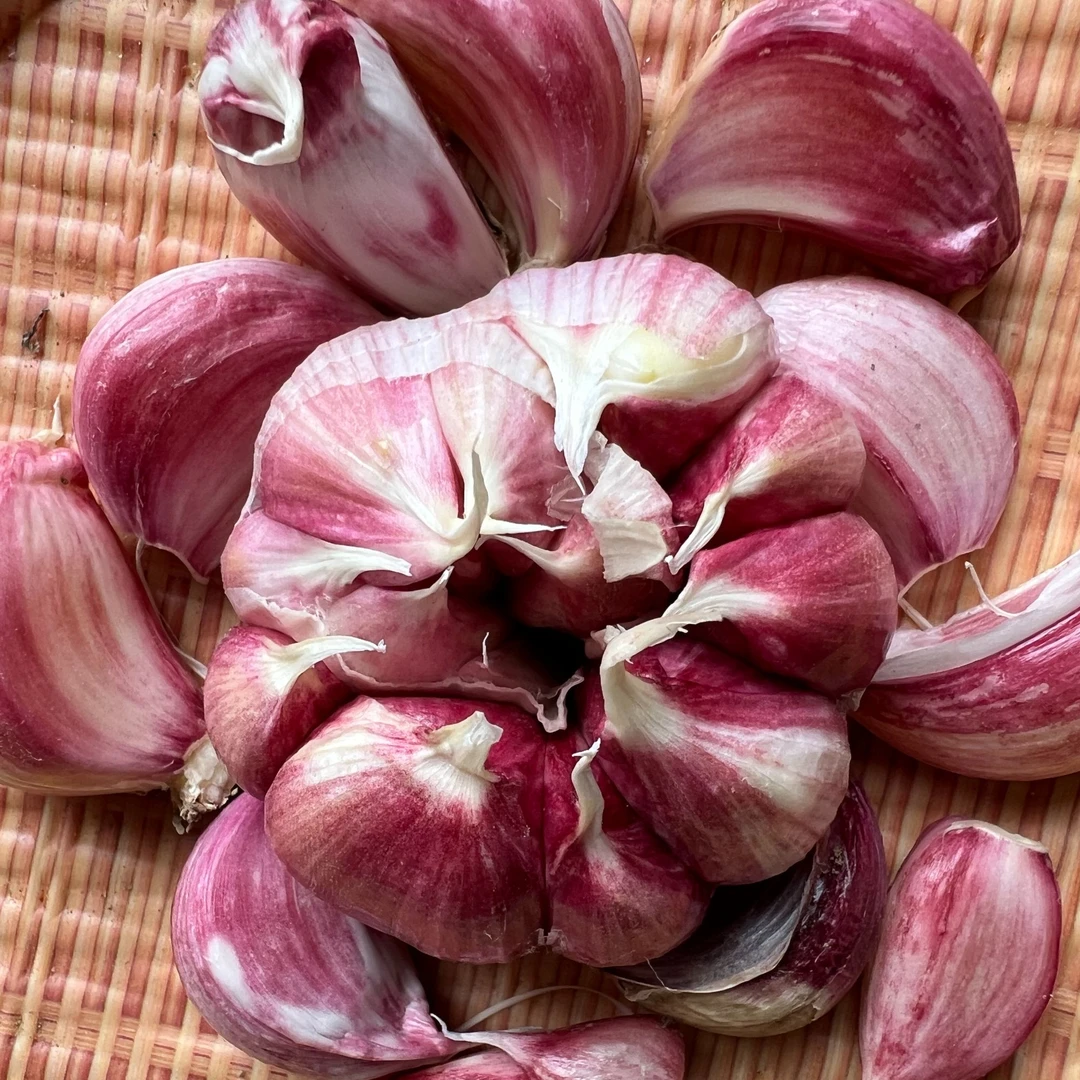 2025年新鲜贵州紫皮大蒜头嫩蒜蔬菜带泥干蒜