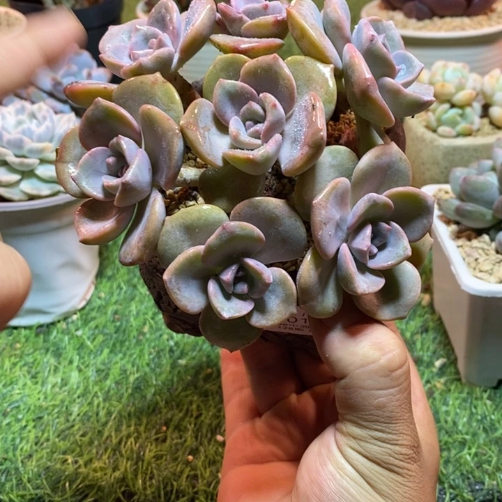 0100啊啊啊啊啊啊啊啊啊啊