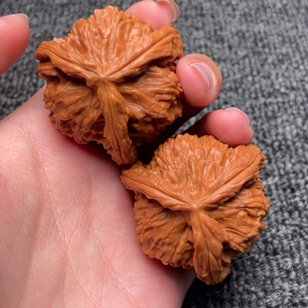 双***华木质类白狮子正奔