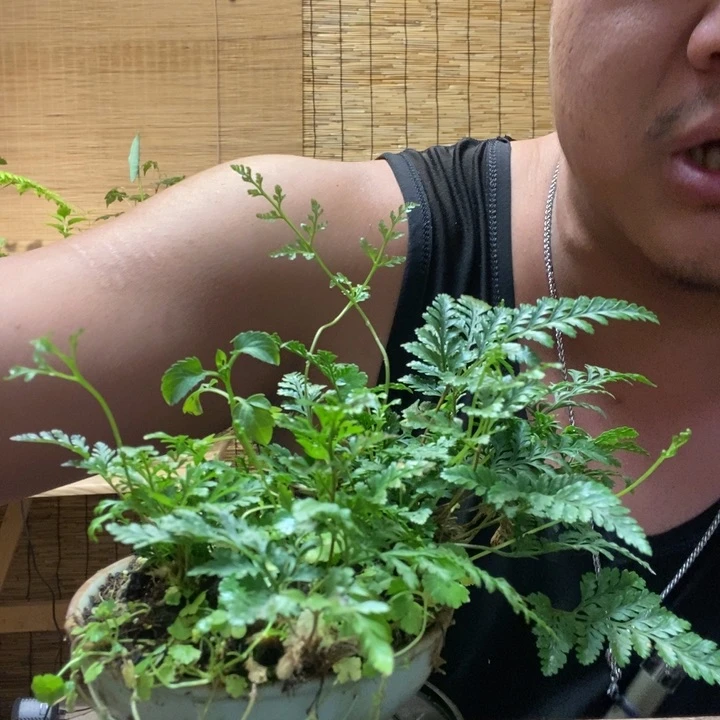 一物一拍所见即所得129