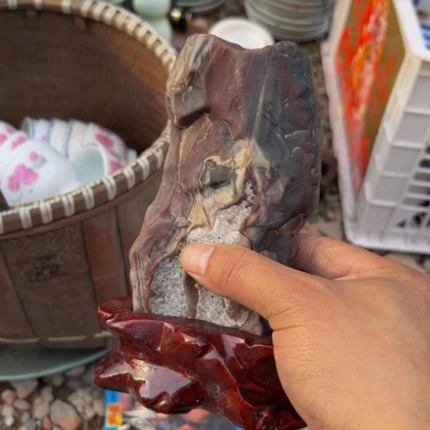 杂色豆（科檀/科特迪瓦檀木）@**@