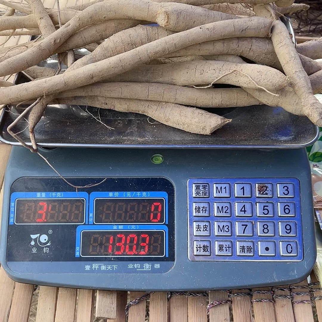 中国大陆甘草牛煲汤泡酒