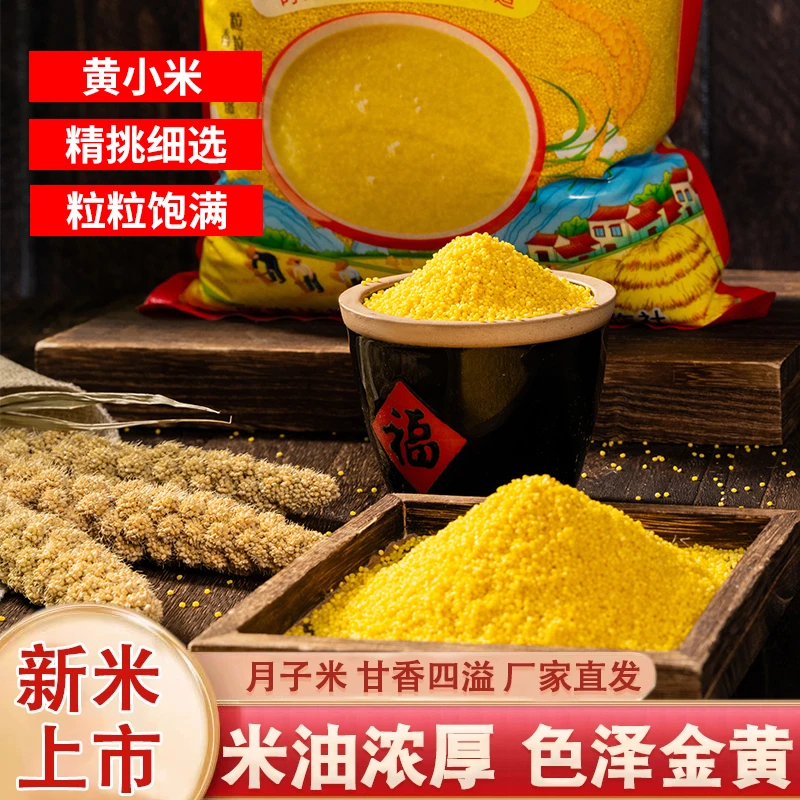 蒙拽拽内蒙古赤峰黄小米2.5kg新米杂粮小米粥大金苗