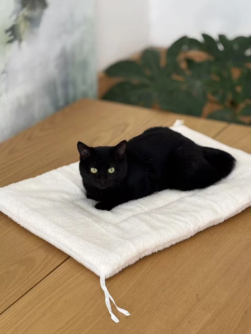 北极绒加厚保暖双面猫狗垫子 带系带寄养宠物垫