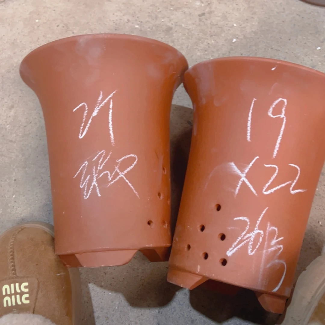 紫砂26……………………………………