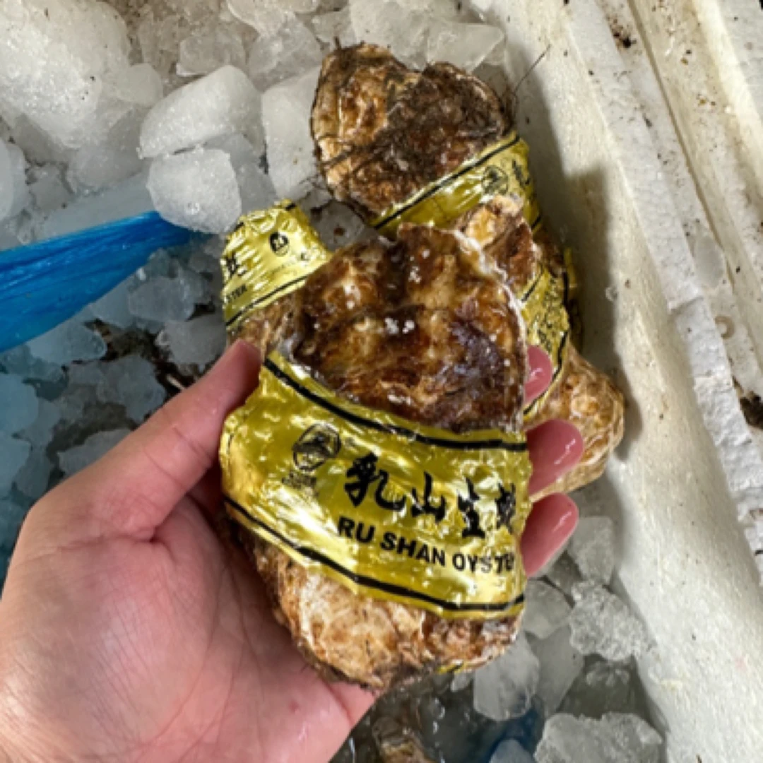 3+乳山生蚝10个（约1500克）