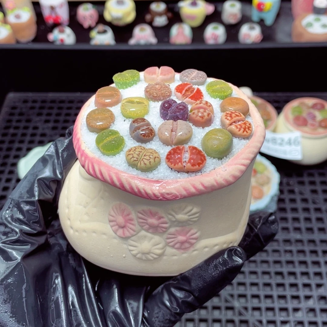 w8248 带盆土发货-零下地区拍保温箱