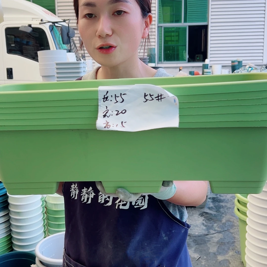 瑕疵菜盆长55果绿5个无托
