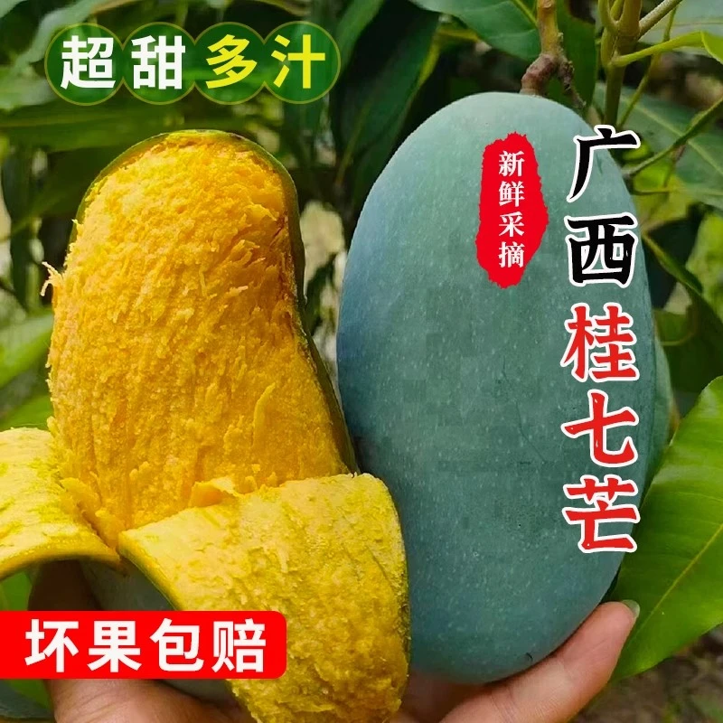 【现摘需催熟】青皮广西百色桂七芒果当季新鲜田东桂七芒大果