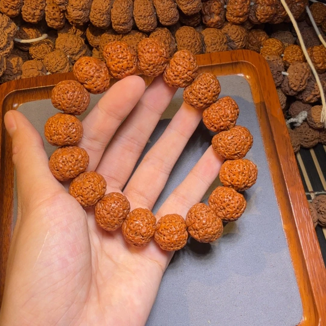 7号尼泊尔大金刚20五星蜂王菠萝蜜