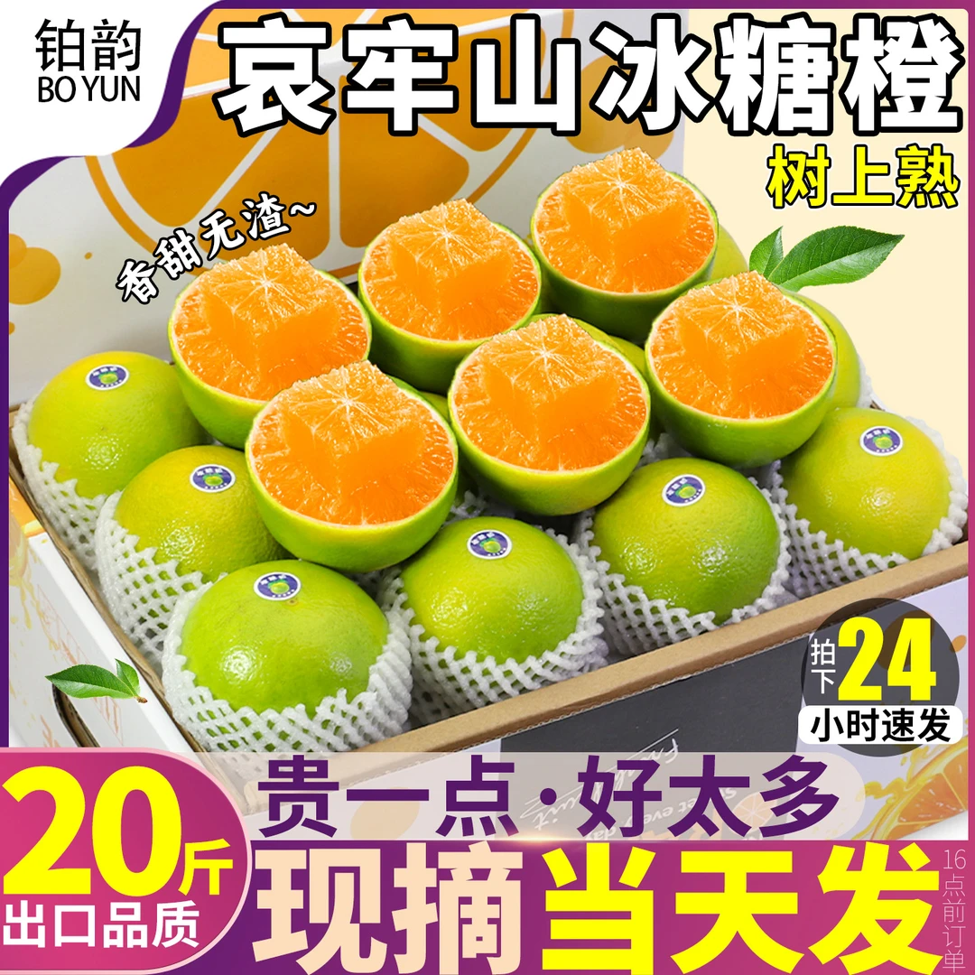 云南哀牢山冰糖橙新鲜采摘甘甜橙子果王皮薄水果香甜脆嫩现摘橘子