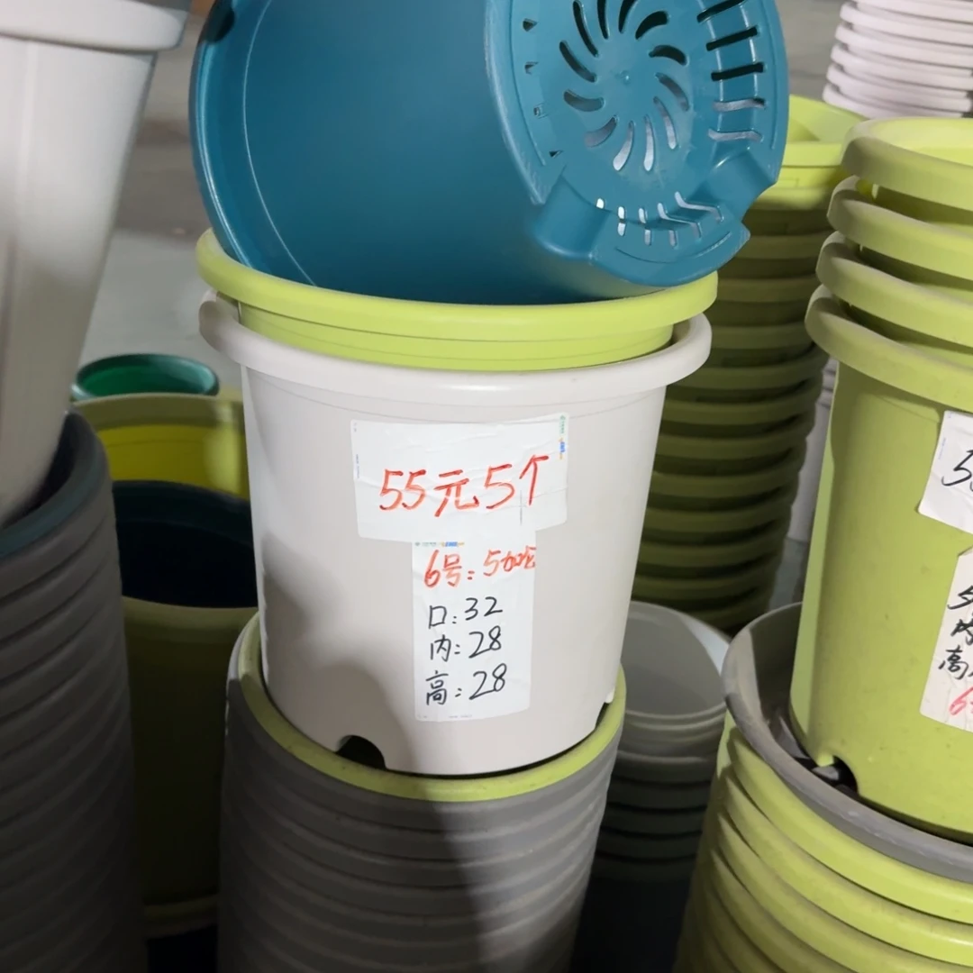 四季6#口径32高28无拖果绿10个