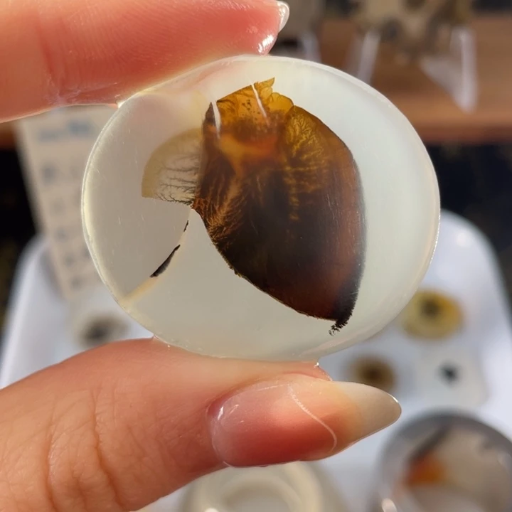 玛瑙/玉髓未镶嵌牌子