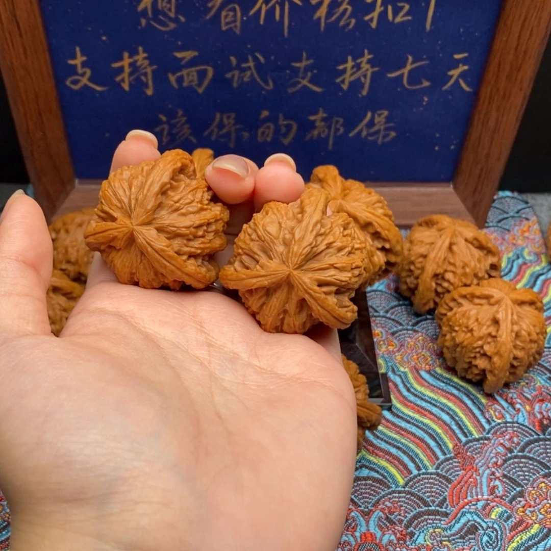 【闪购商品】c****1白狮