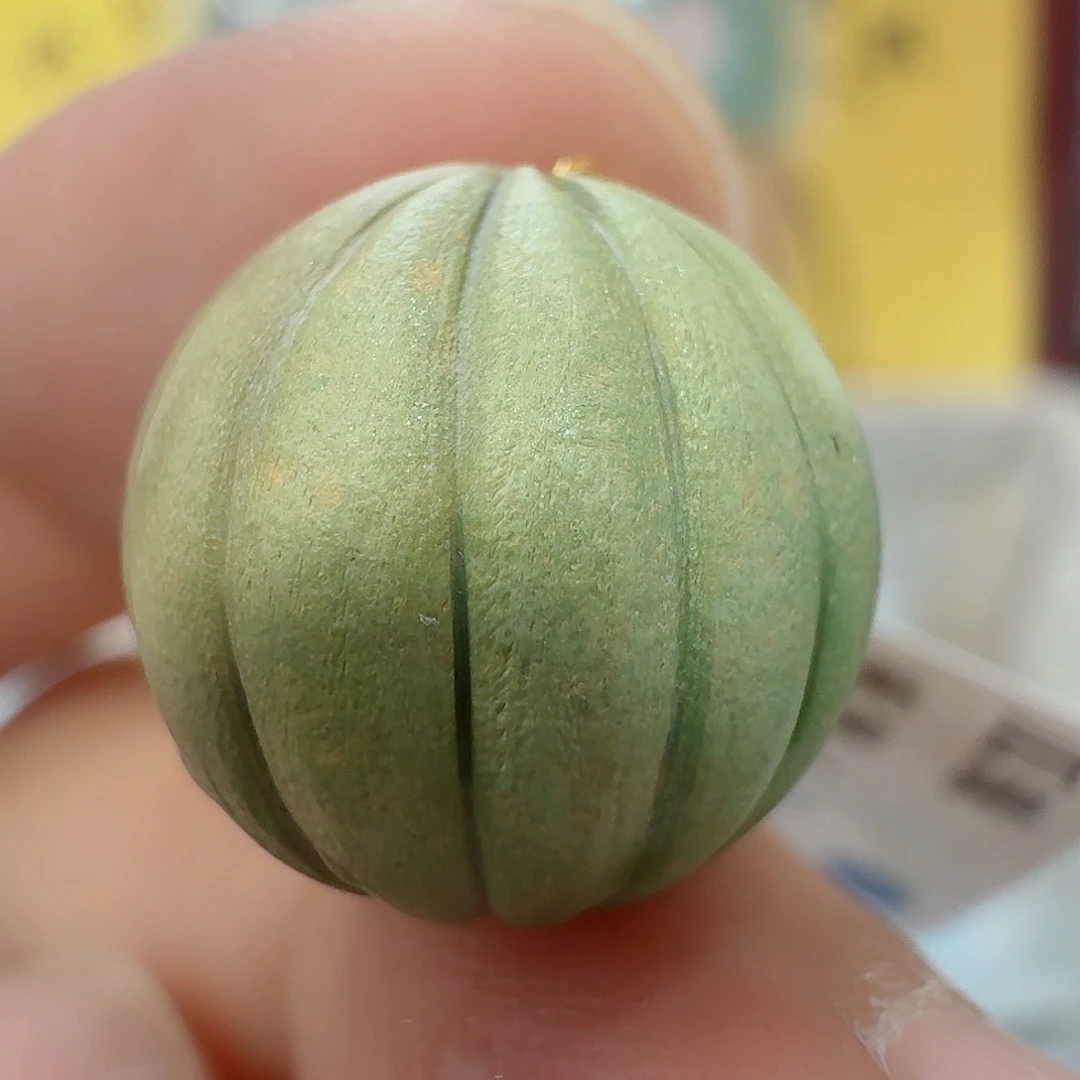 未镶嵌绿松石配饰