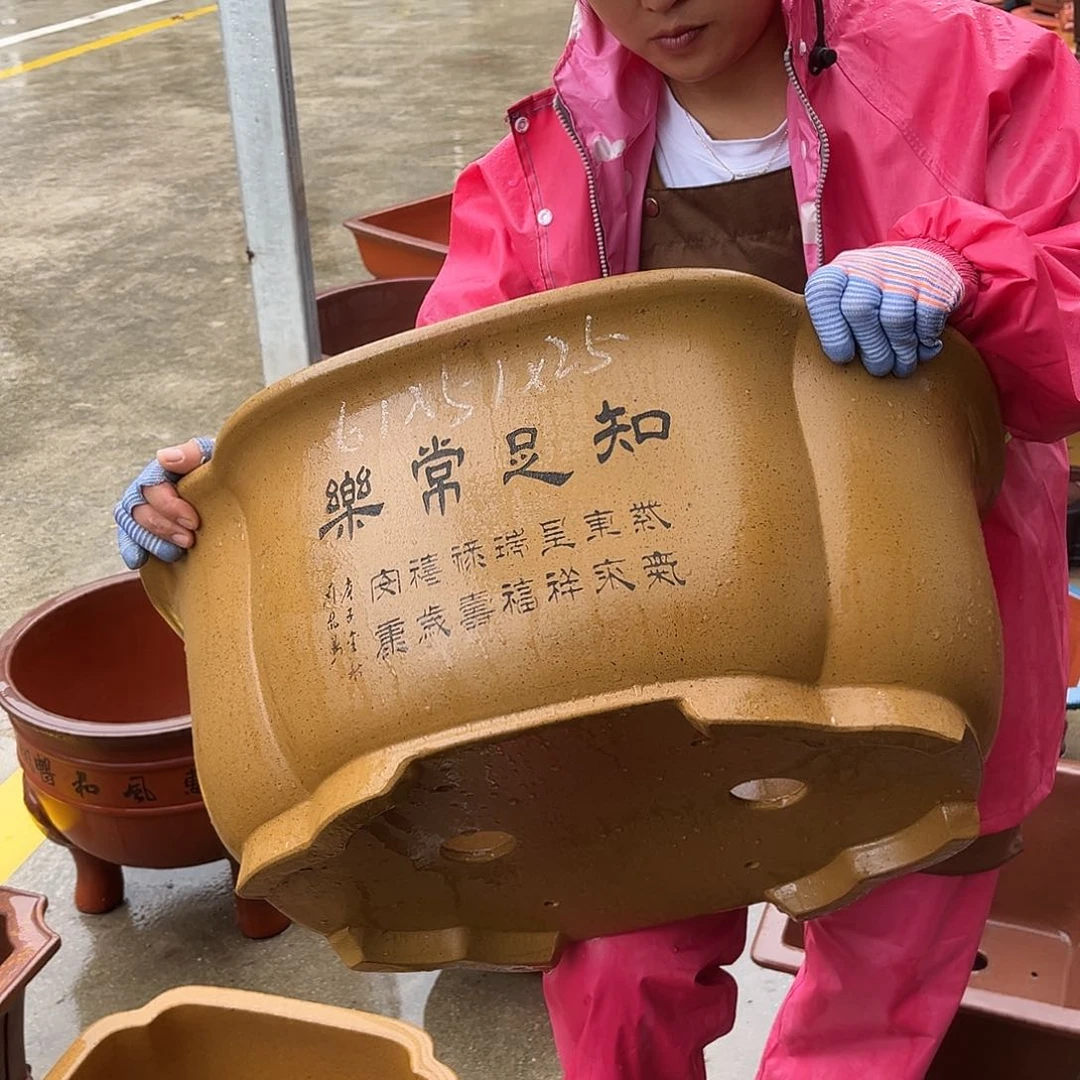 紫砂花盆盆景艺术