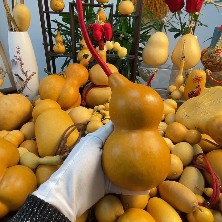 &***律藤手把葫芦精品系列27