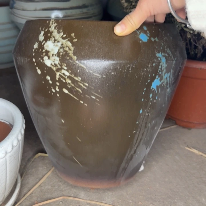 瑕疵花盆处理啦口24高25