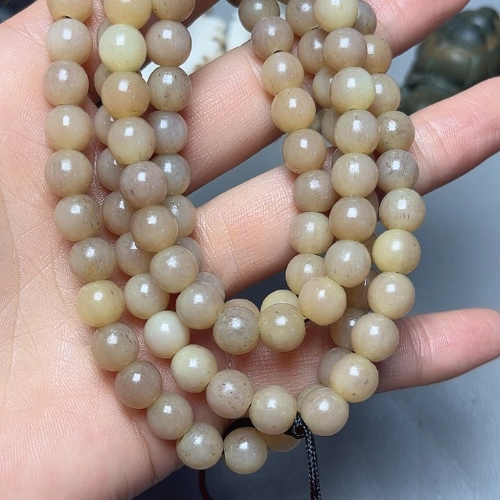 大果紫檀（缅甸花梨）