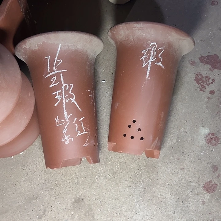 周深周深周深周深周深