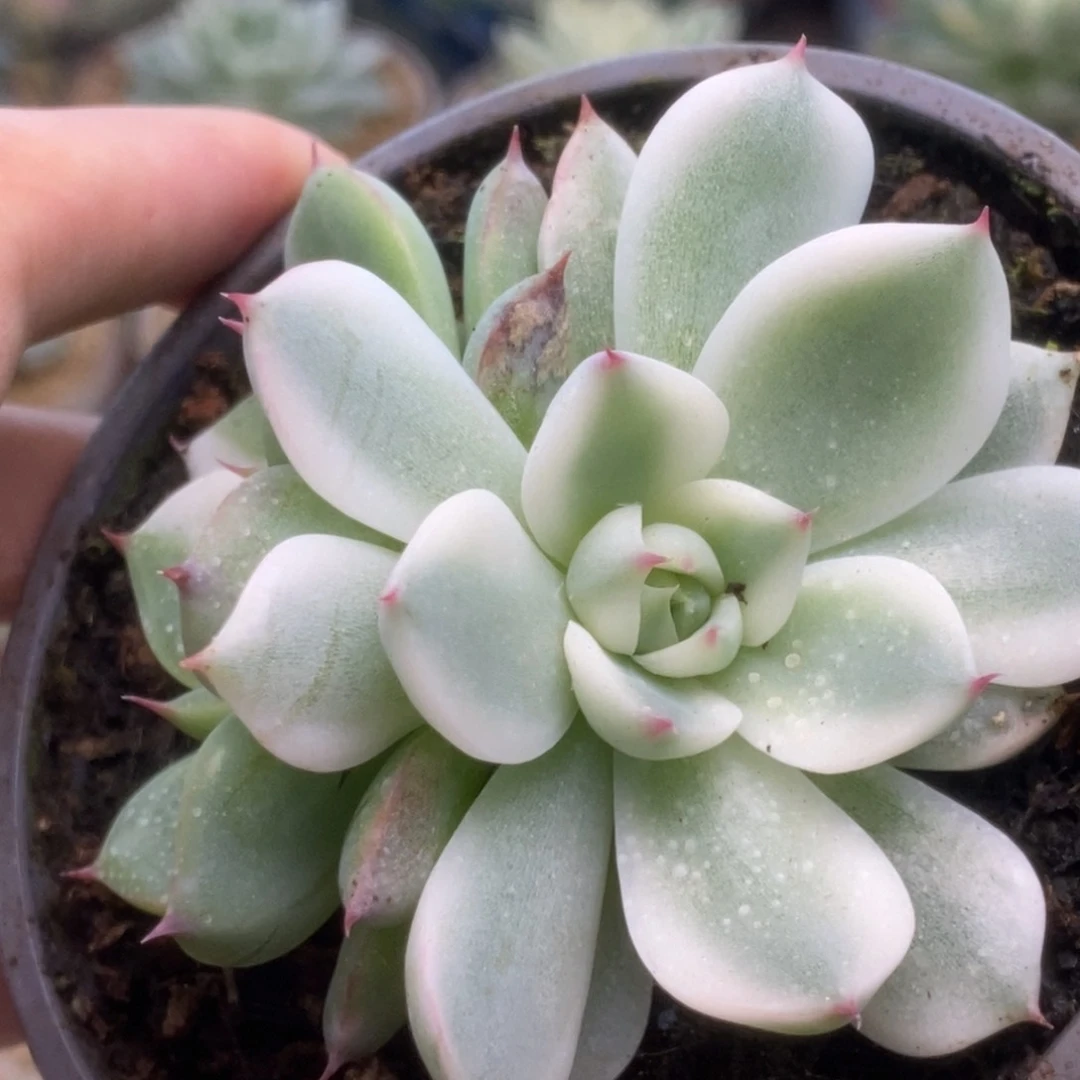 160锦锦锦锦锦锦锦锦锦锦