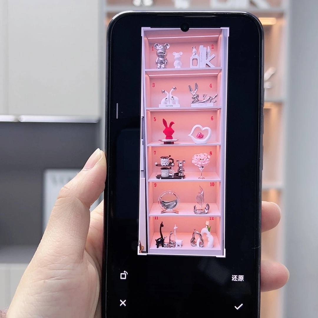 【闪购商品】陶瓷十二个