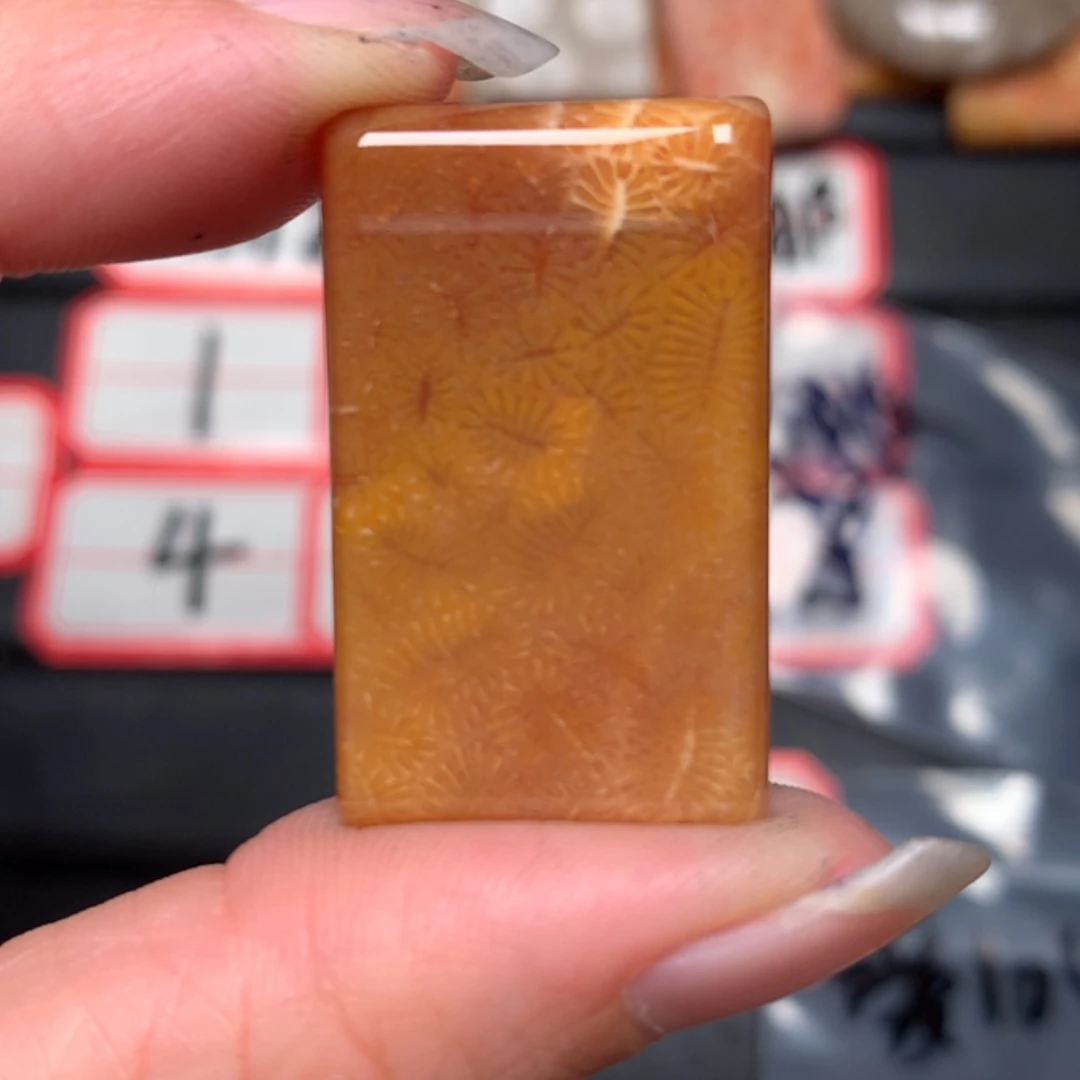 【闪购商品】硅化玉颈饰未镶嵌破***1